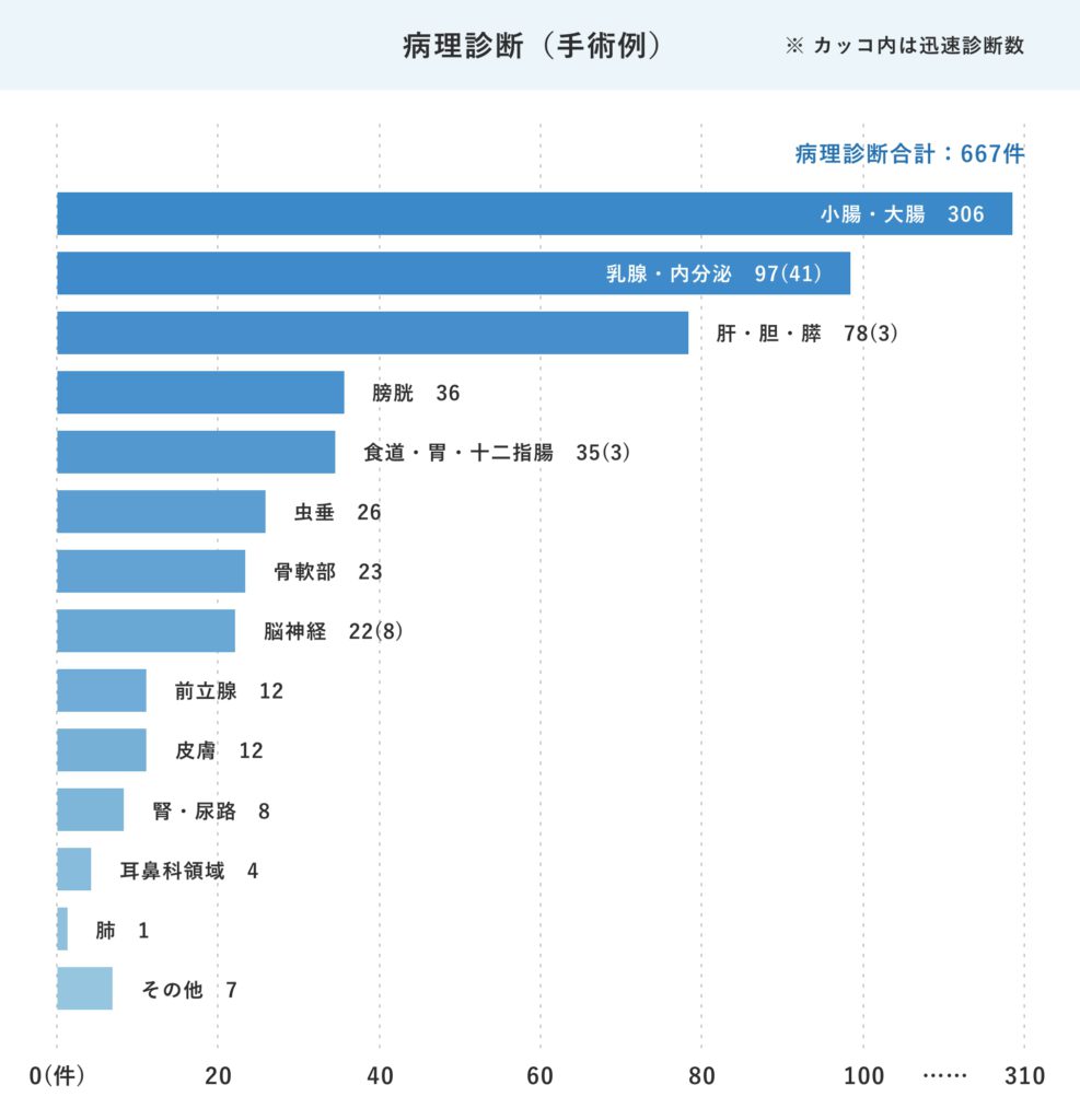 病理診断科-24年度病理診断科（手術中）
